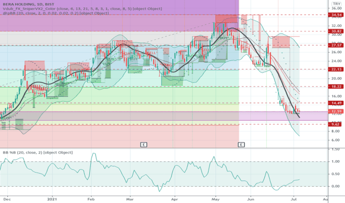 BERA Stock Price and Chart — BIST:BERA — TradingView