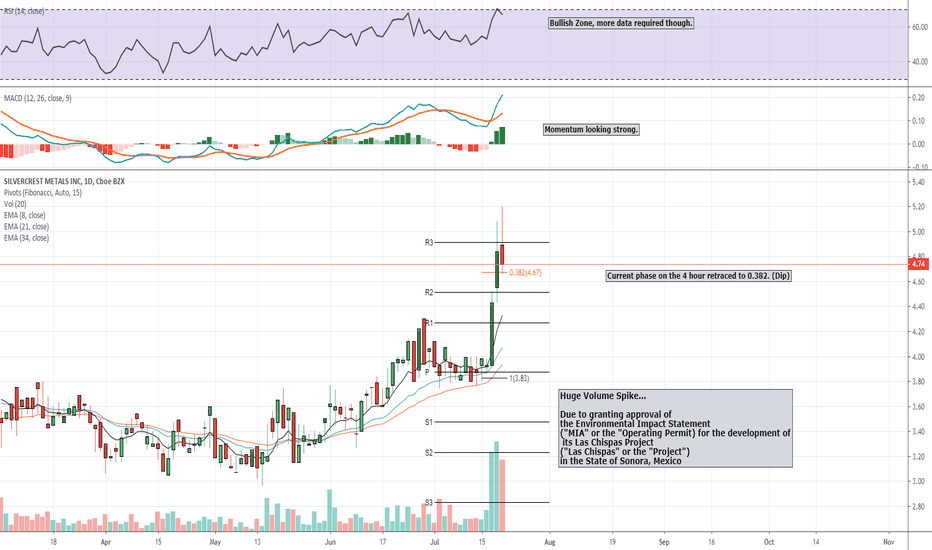 SILV Stock Price and Chart — AMEXSILV — TradingView