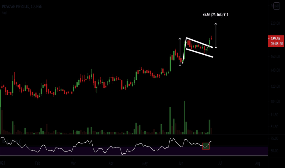 PPL Stock Price and Chart — NSEPPL — TradingView — India