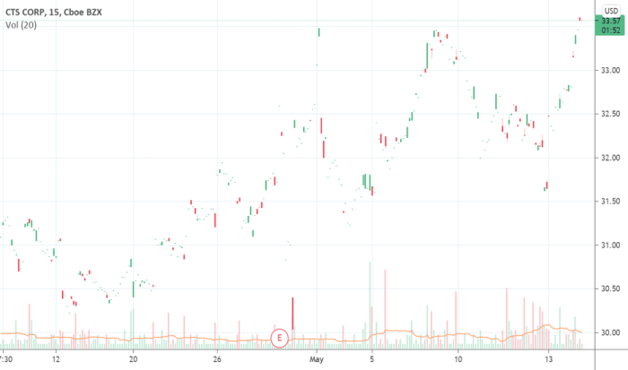 CTS profile 2021 Cts net worth
