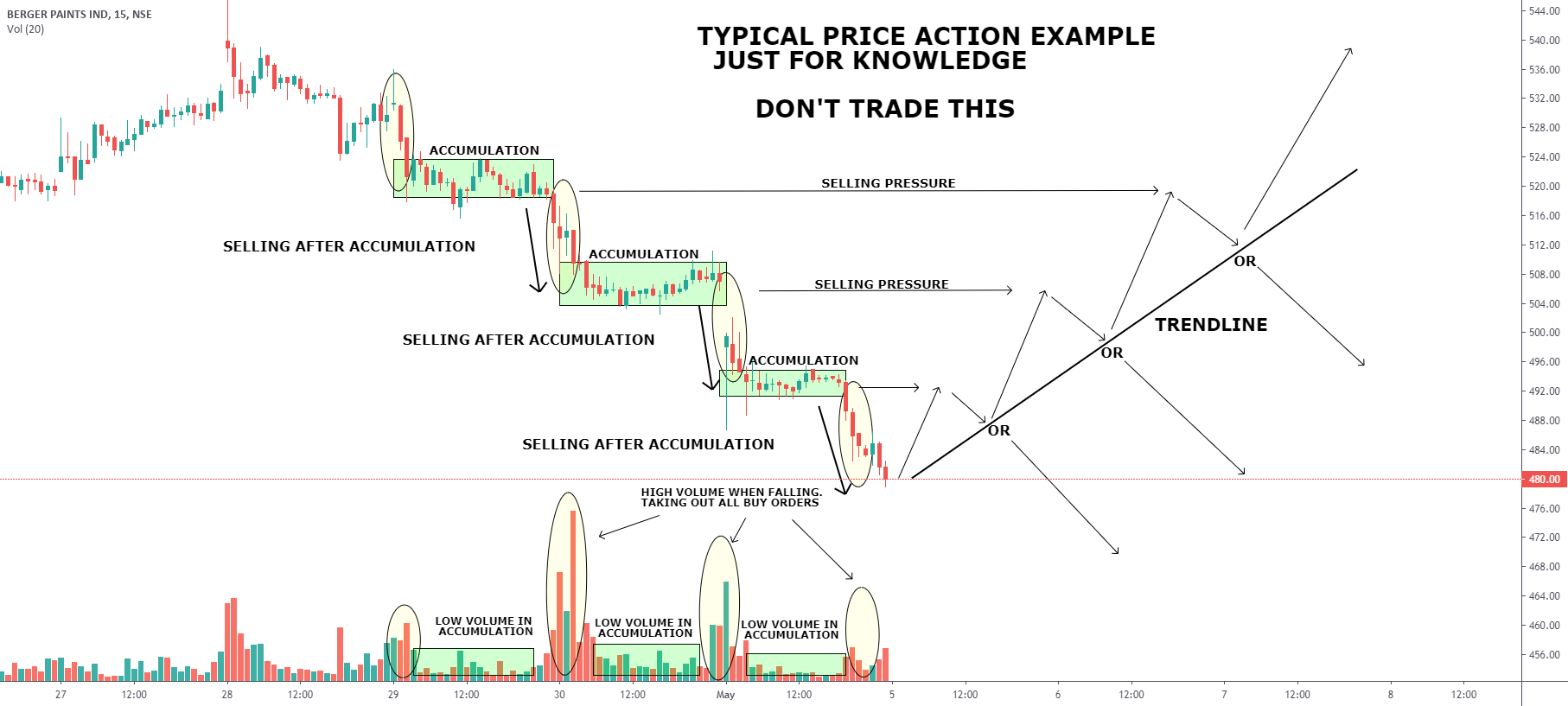 BERGER PAINT PRICE ACTION ANALYSIS for NSEBERGEPAINT by Tarun_Kumar98