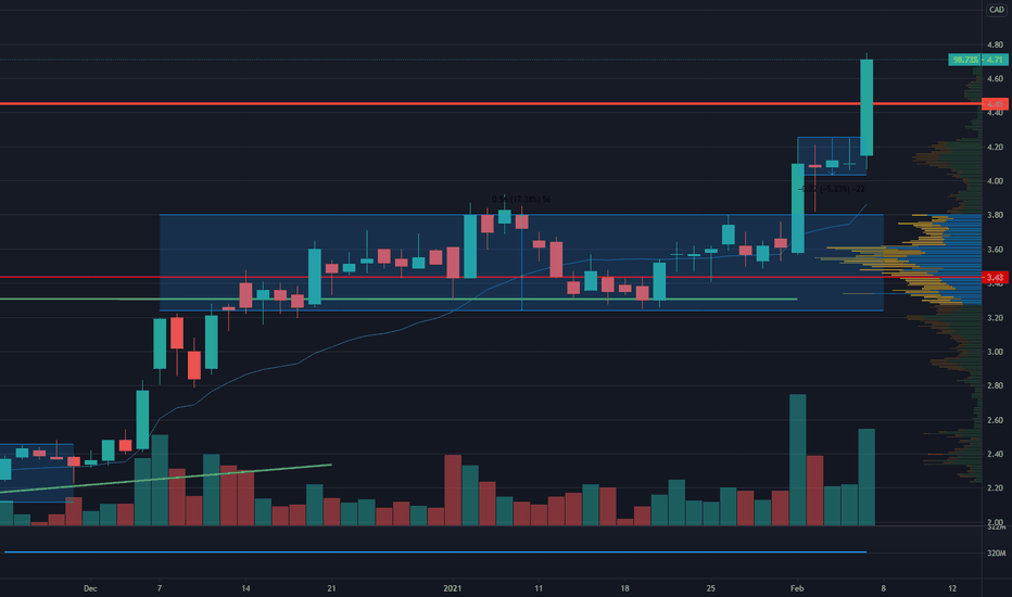 NXE Stock Price and Chart — TSXNXE — TradingView