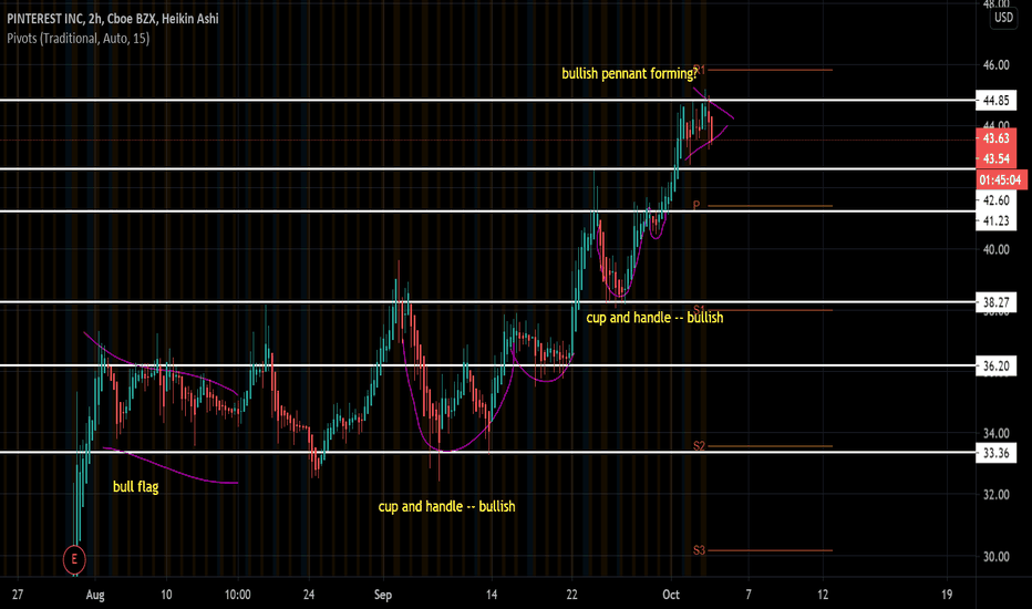 PINS Stock Price and Chart — NYSEPINS — TradingView