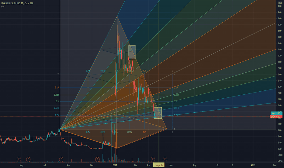 JAGX Stock Price and Chart — NASDAQJAGX — TradingView
