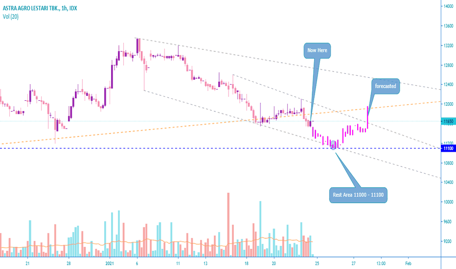 20 Harga Saham Aali Hari Ini Info Cuan
