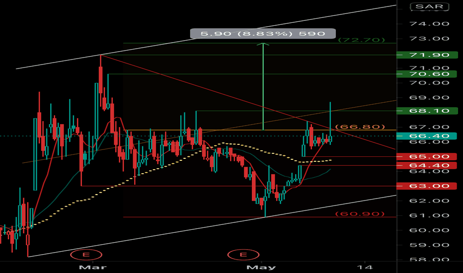 2180 Stock Price and Chart — TADAWUL:2180 — TradingView