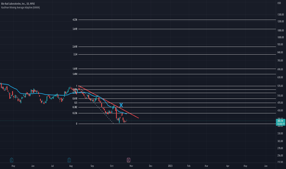 BIO Stock Price and Chart — NYSEBIO — TradingView