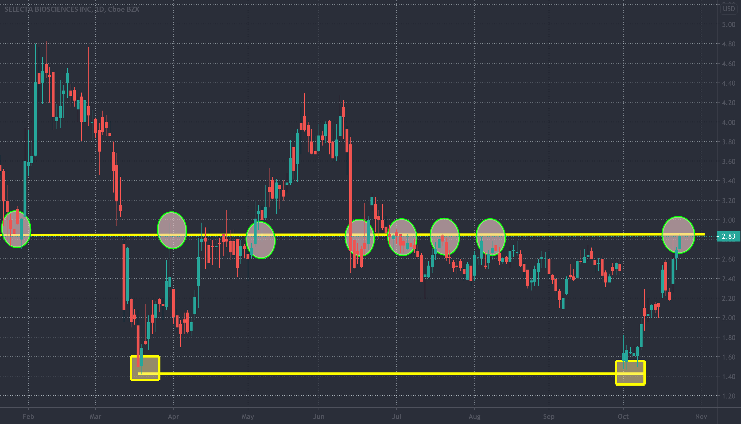 SELB Lots Of Technical Levels To Look At for NASDAQSELB by PennyStocks101 — TradingView
