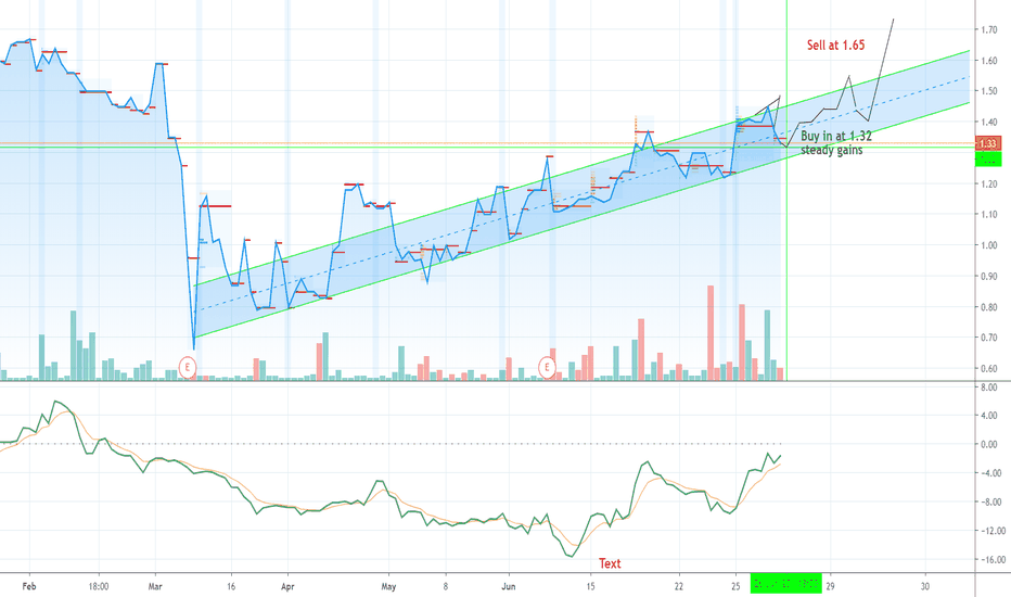 ZDGE Stock Price and Chart — AMEXZDGE — TradingView