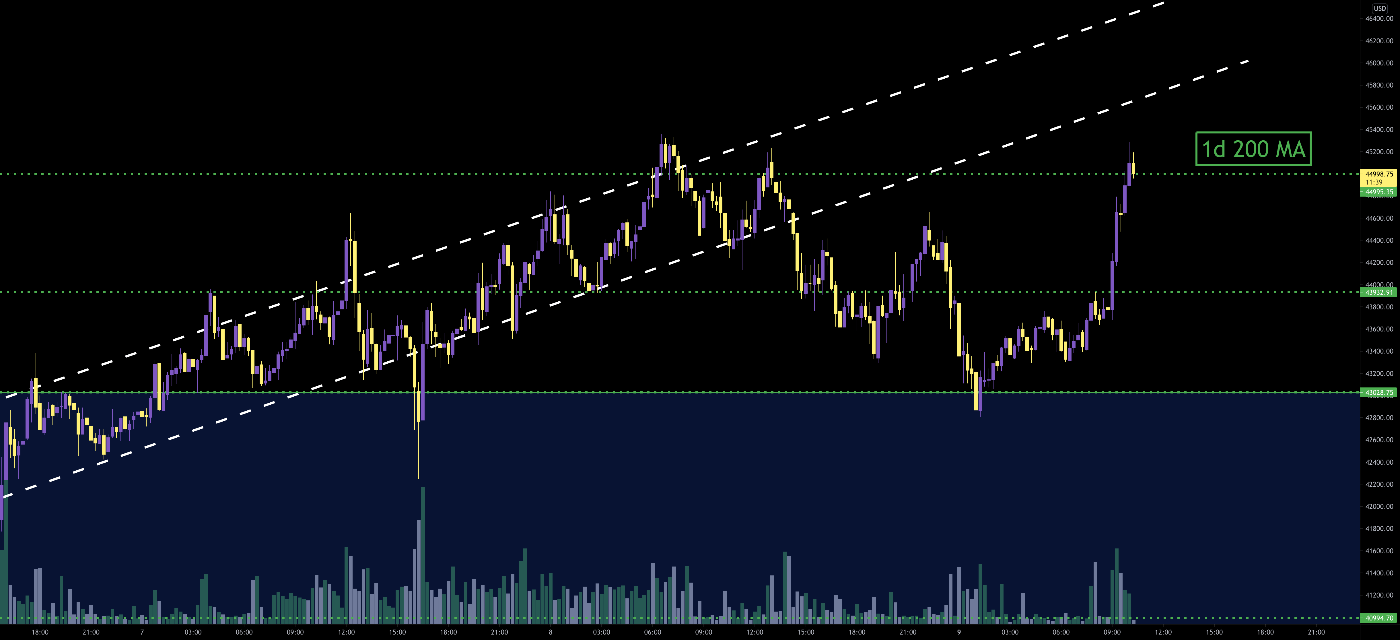 Bitstamp – Buy and sell Bitcoin and Ethereum