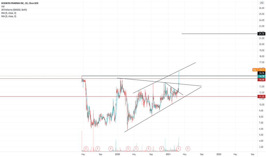 HOOK Stock Price and Chart — NASDAQHOOK — TradingView