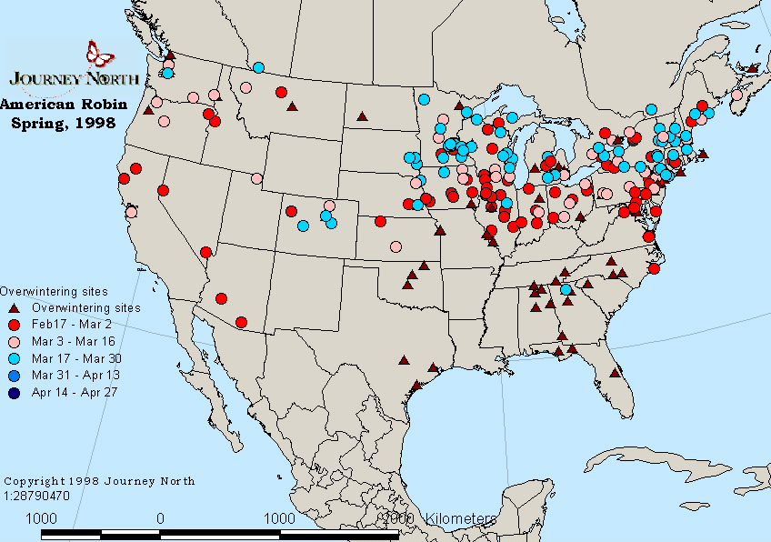 Wood Duck Migration Map