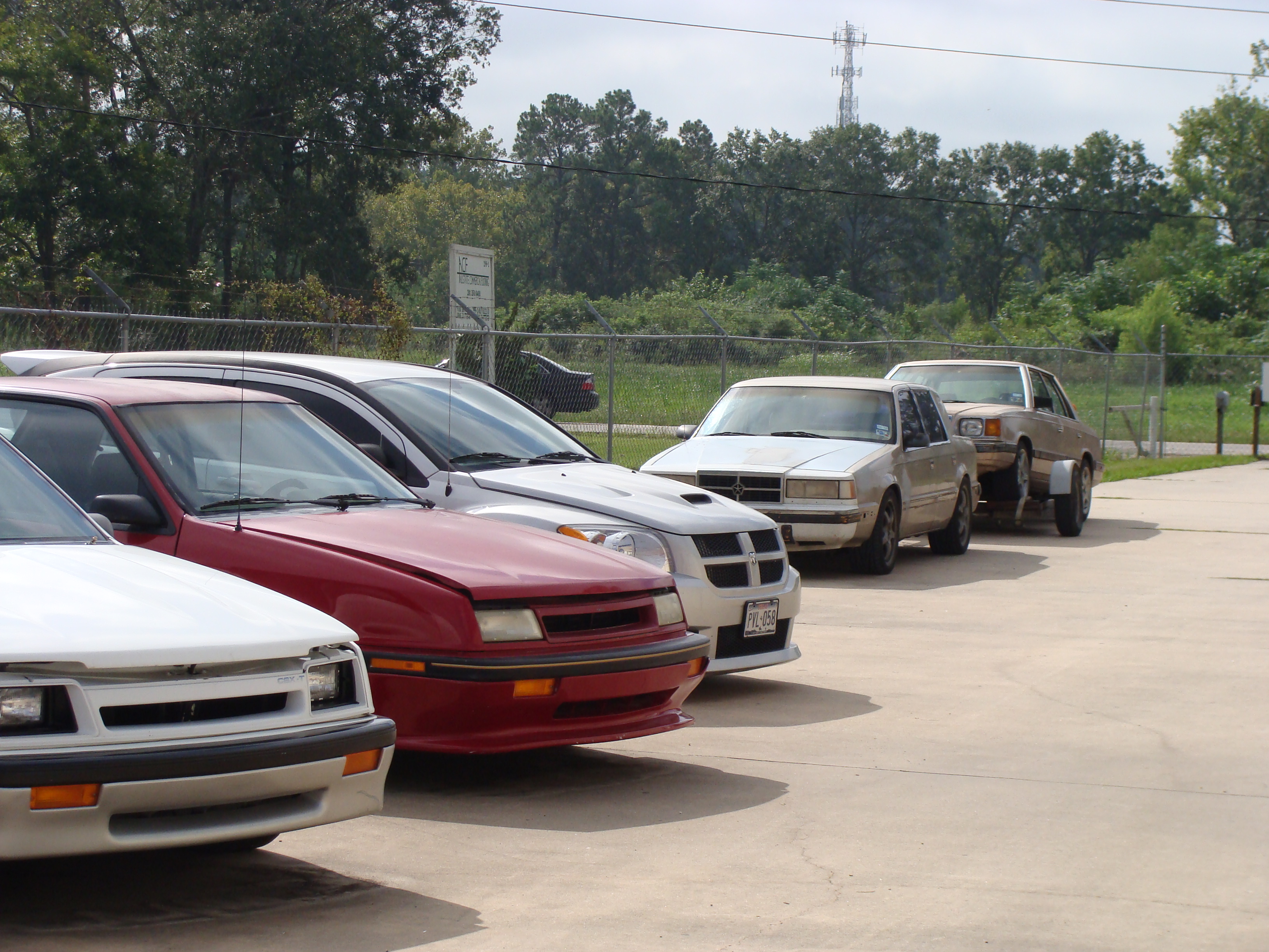 Vigo's Dodge Dynasty LE Readers Rides