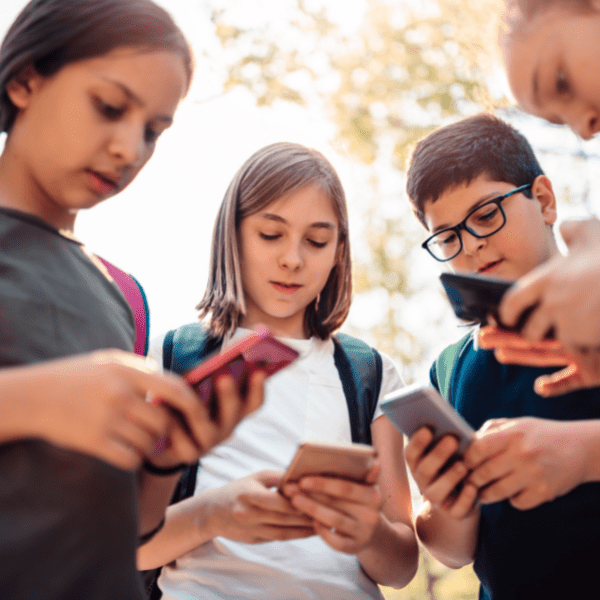 The Learning Accelerator A Growing Danger of the Digital Use…