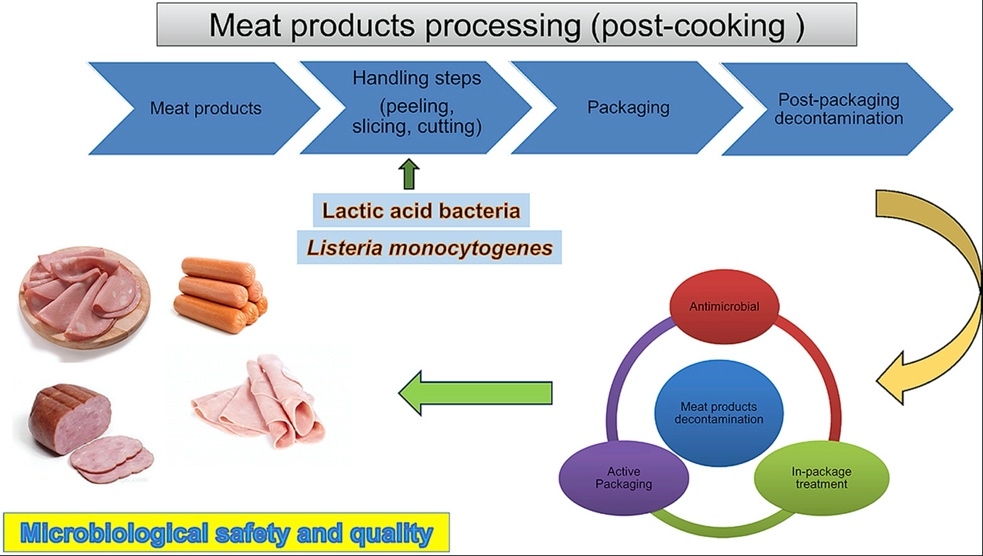 The Prevalence of Listeria in Food and the… About Listeria
