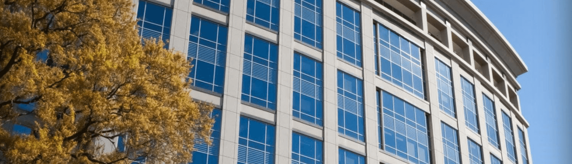 gonzalez tax service jacksonville tx Mammie Falk