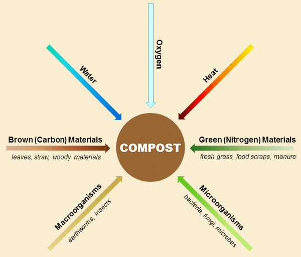 Home Composting County Washington State University