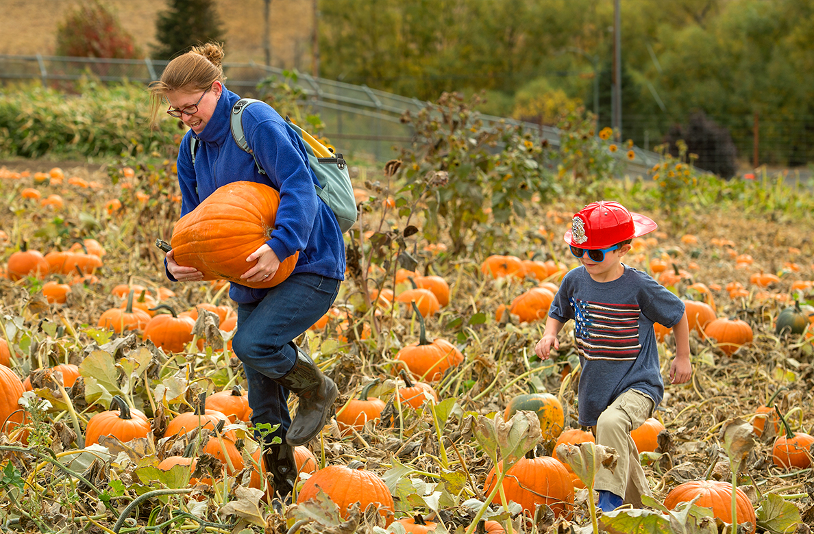 Oct. 13 WSU organic farm hosts annual Fall Harvest Festival WSU
