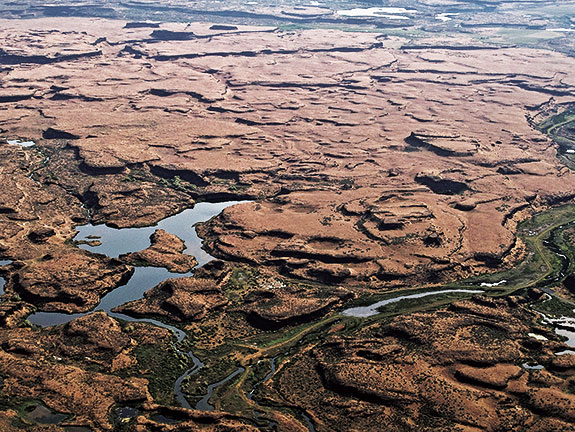 A true story fraught with peril Washington State Magazine