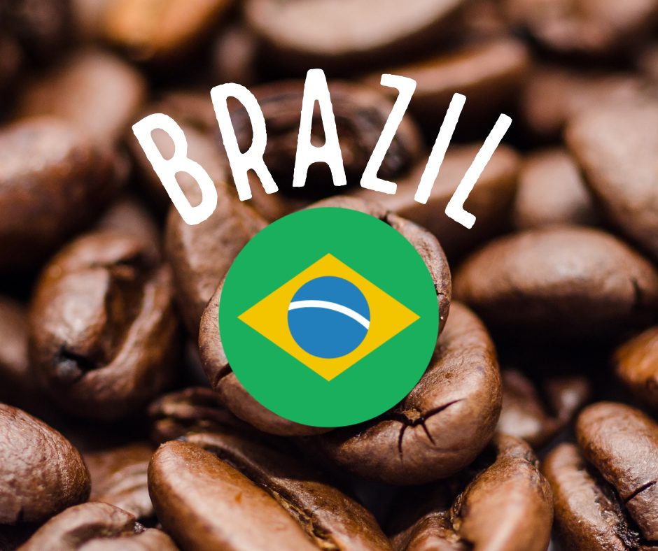 Coffee Beans Brazil ubicaciondepersonas.cdmx.gob.mx