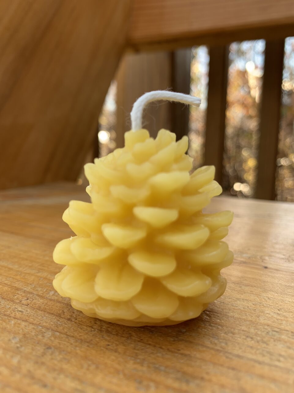 Beeswax Candle Pine Cone Votives {four} Shop Iowa