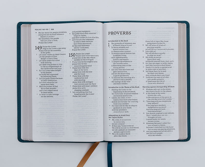 NET Thinline Bible, Large Print Thomas Nelson Bibles