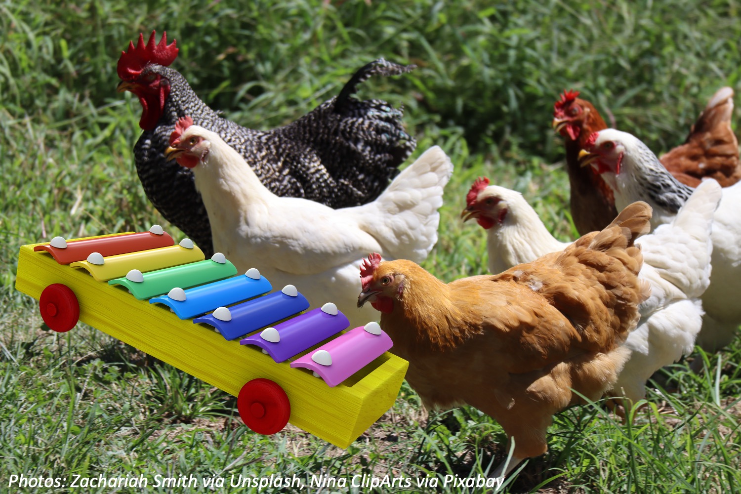 Chickens Playing the Xylophone Bedtime Math