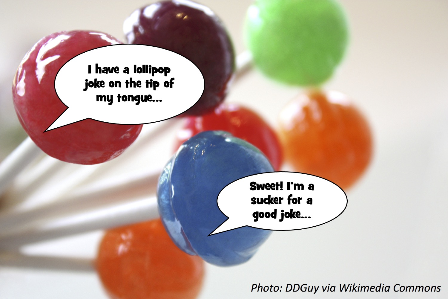 Can My Dog Lick A Lollipop at Fred Worrell blog