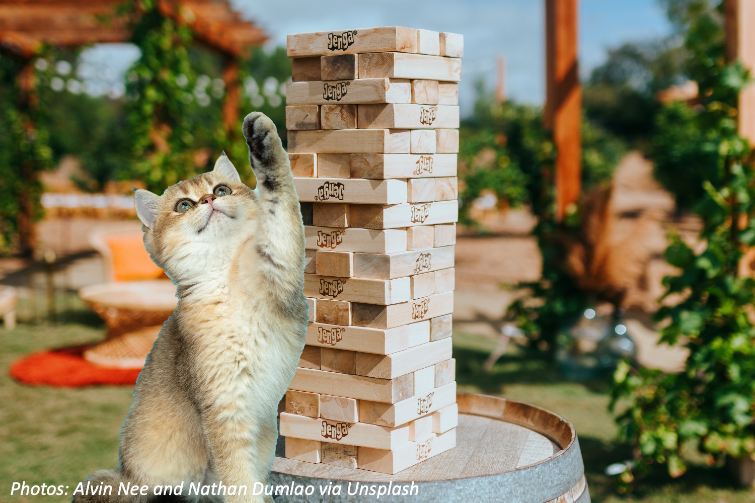 Jenga Cat Bedtime Math