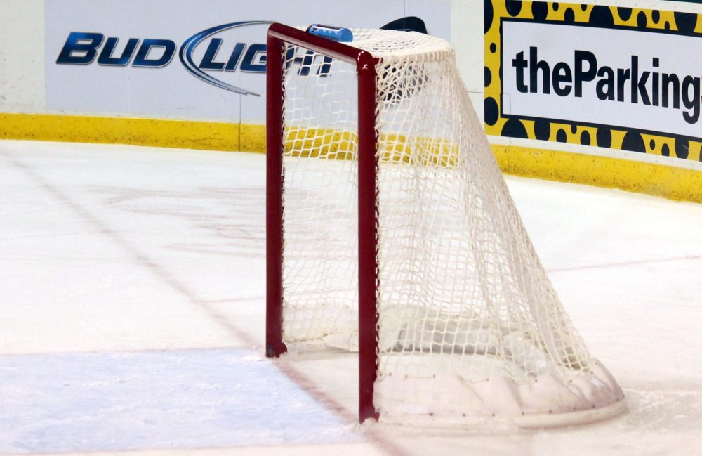 The Importance of the Empty Netter in Hockey