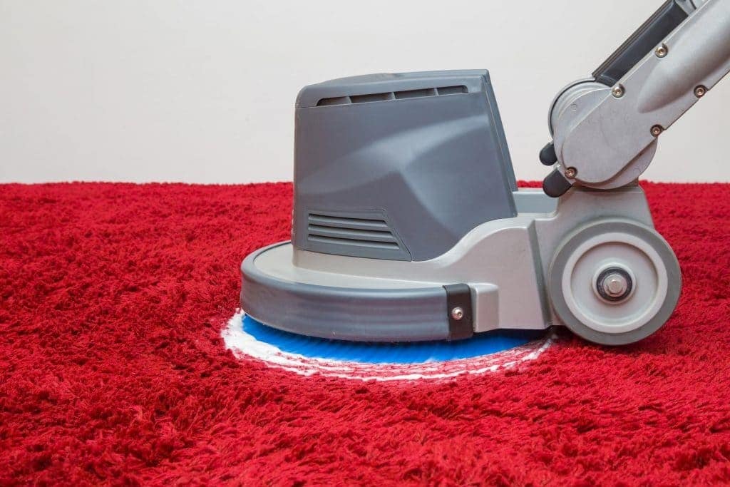 Best Place To Rent Carpet Cleaner Machine at Shila Flake blog