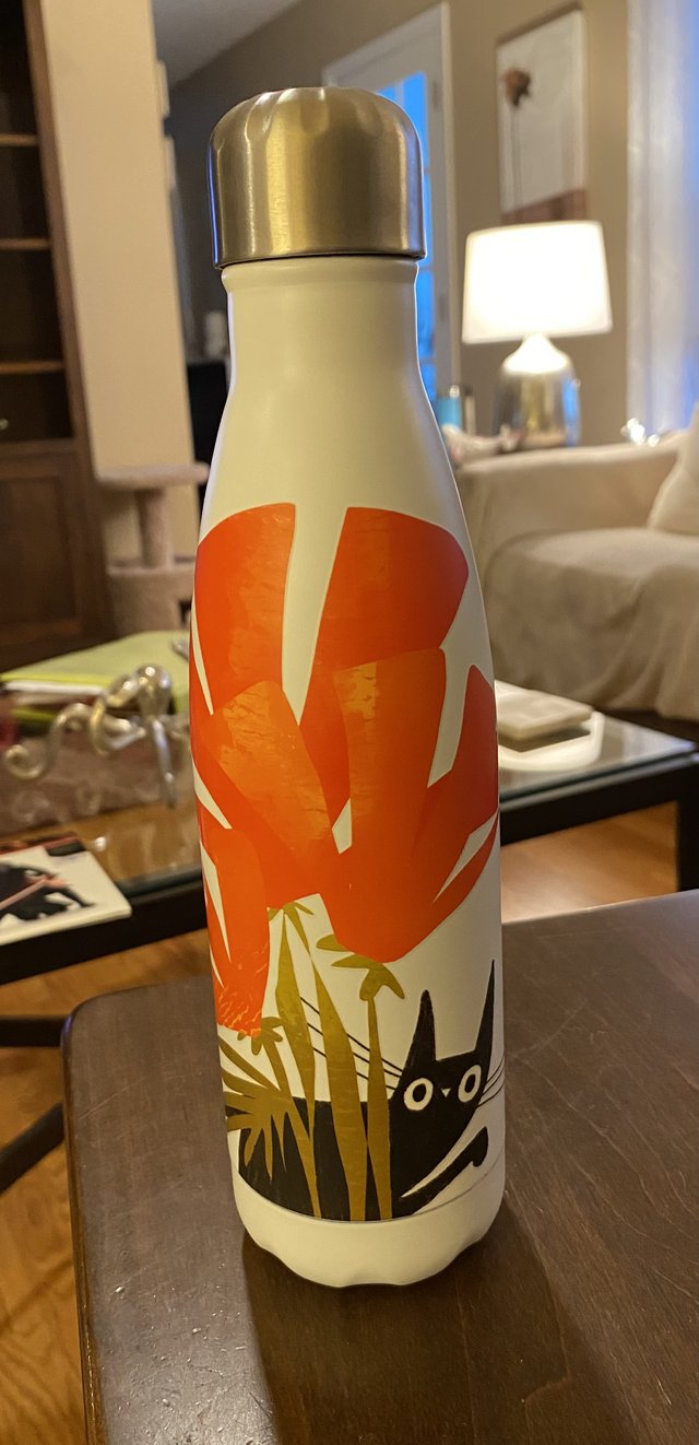 Cat Lady Stainless Water Bottle Everything Else for sale on Joliet
