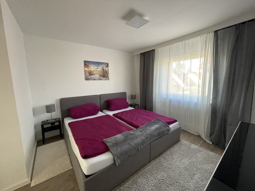 TDY TLA & free car near Ramstein AB Rental by owner for sale on