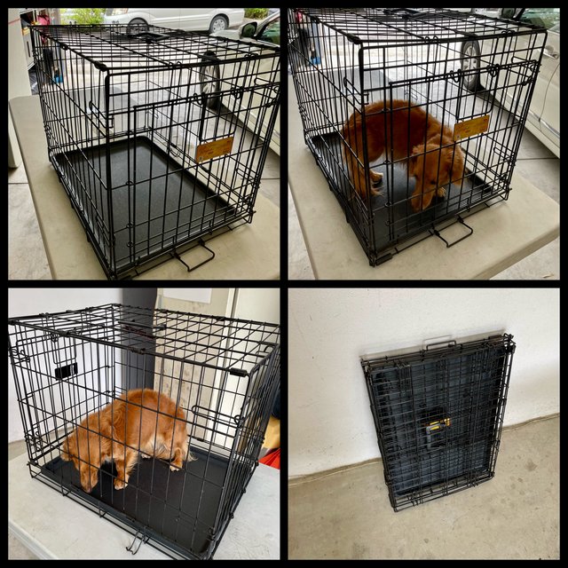 Metal pet cage Pets Supplies for sale on Okinawa bookoo!