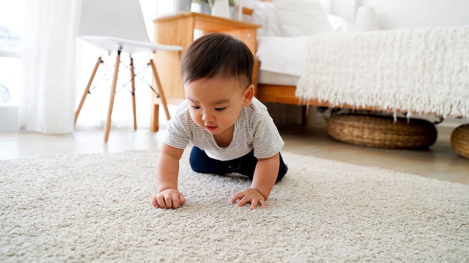 How to Steam Clean Carpet