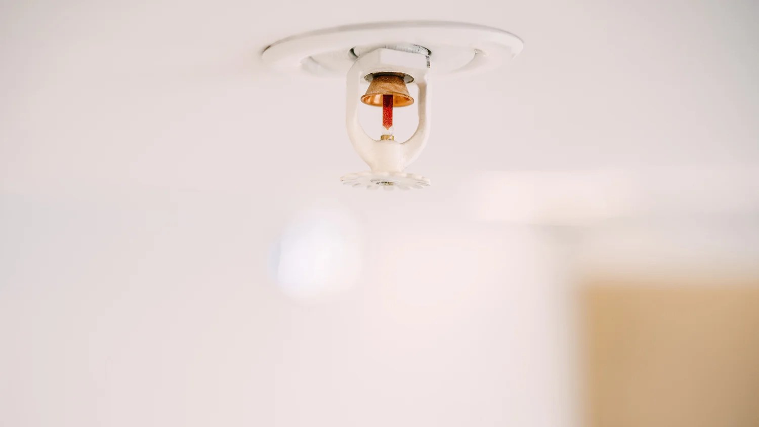 Fire Sprinkler System Cost in 2024 Angi