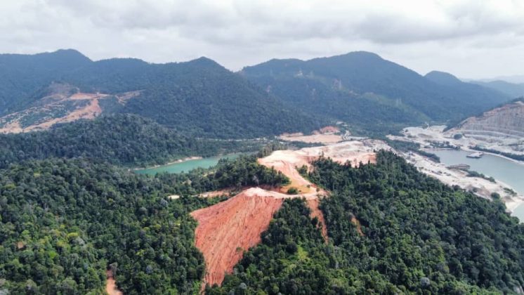 Hutan Pantai Di Malaysia Cikgu Roslan Ciriciri Hutan di Malaysia
