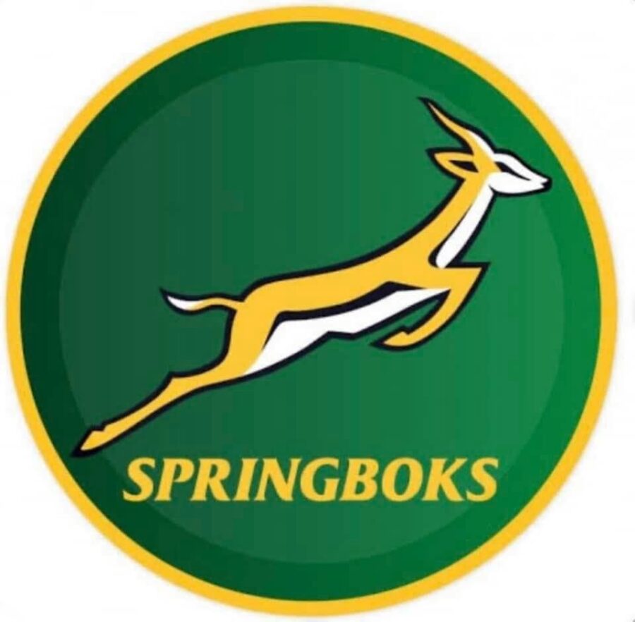 South Africans flood social media with Springbok profile pics SA People
