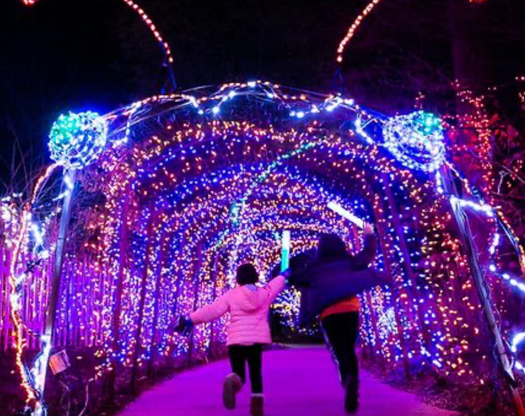 Garden of Lights Winter Lights Display Opens Today The MoCo Show