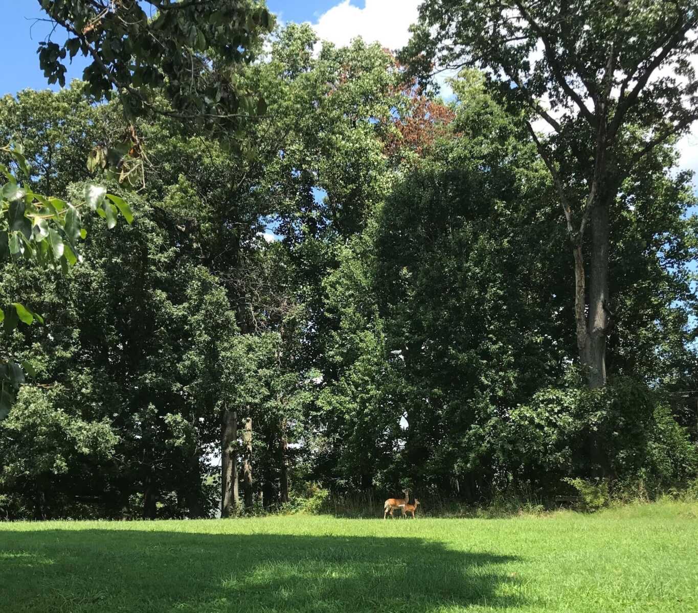 Property Acquired to Create New Ednor Soapstone Quarry Special Park