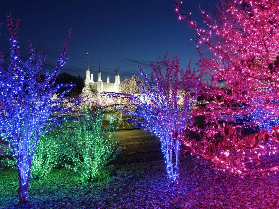 12 DMV Winter Light Displays to Enjoy This Season The MoCo Show