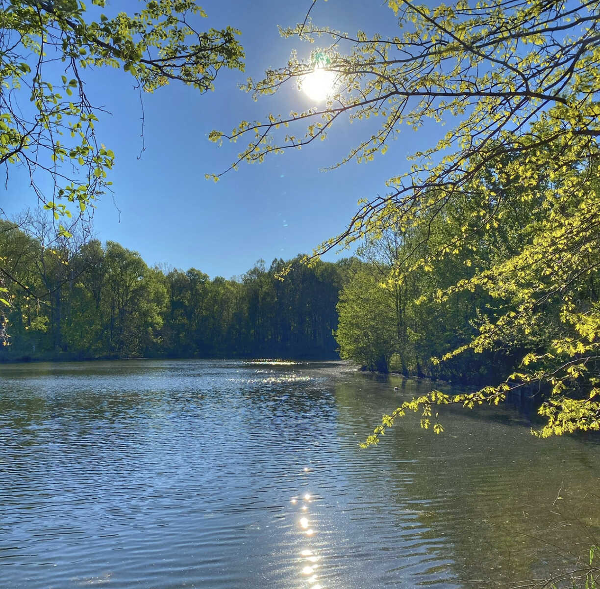 Maryland is The Only State in the U.S. Without Any Natural Lakes The