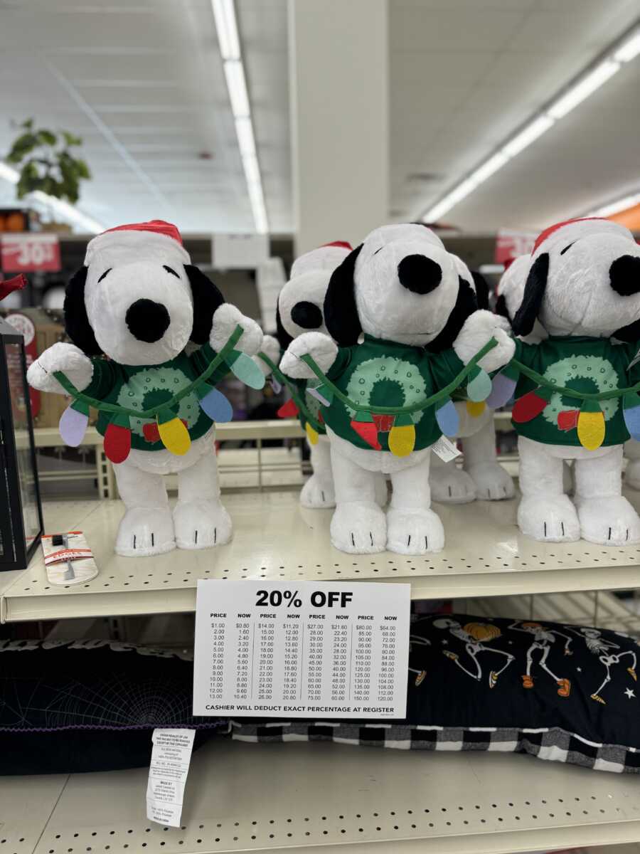 Big Lots Begins Store Closing Sale The MoCo Show