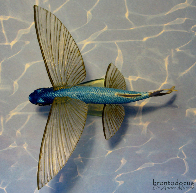 (Atlantic) Flying Fish (Safari Ltd. Incredible Creatures)