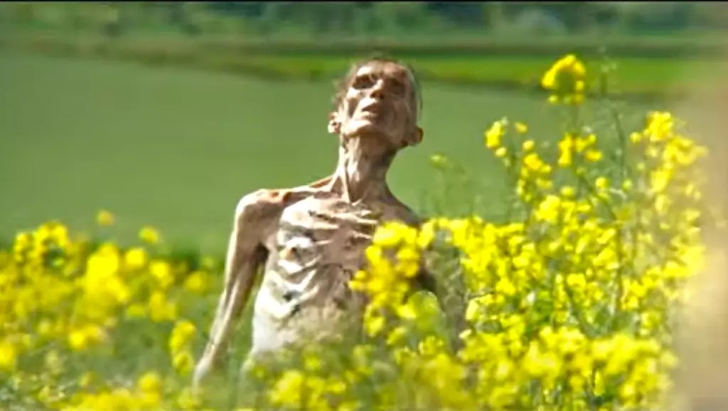 The Future of Horror: A Deep Dive into Sony’s 28 Years Later Franchise