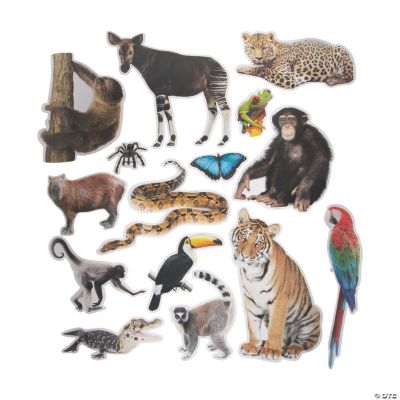 Jumbo Realistic Rainforest Cutouts Oriental Trading