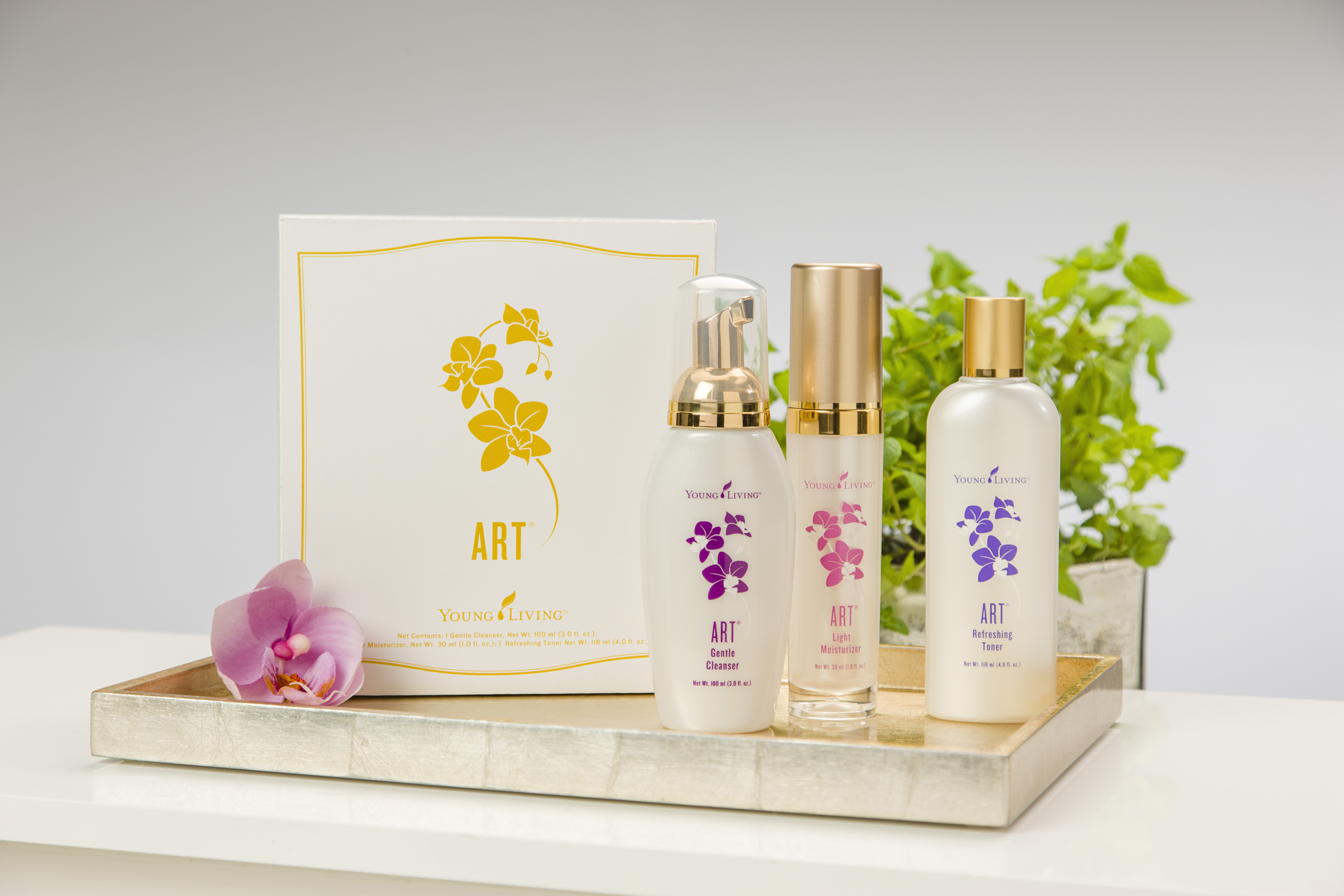 Your Young Living MustHave List! » Common Scents Mom
