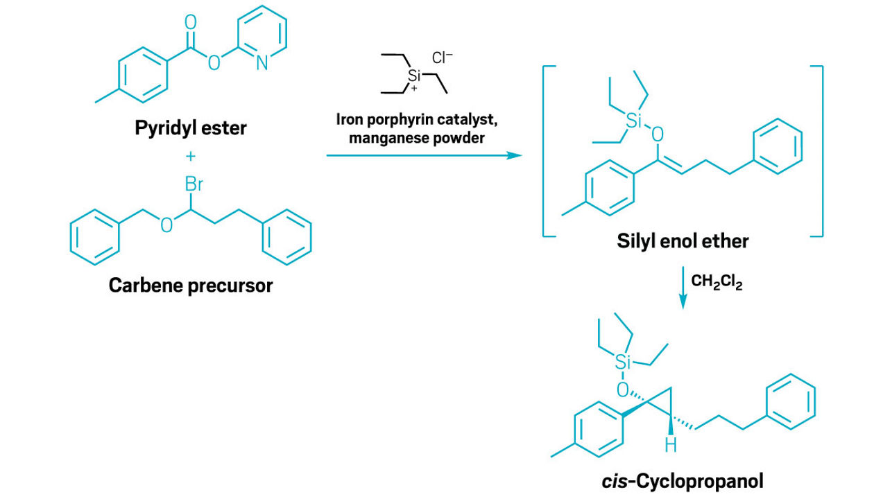 Constructing cyclopropanols, one carbon at a time