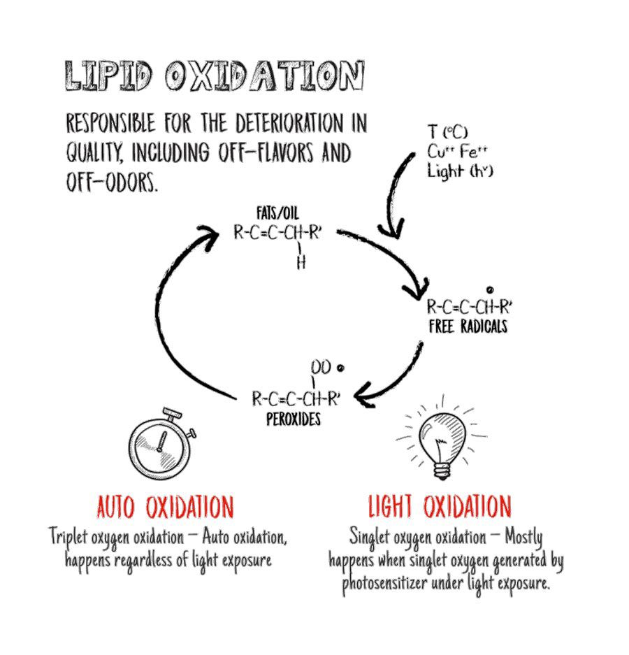Oxidation Control & Shelf Life Extension Kemin Asia Pacific