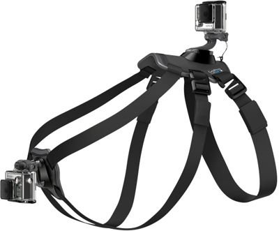GoPro Fetch Dog Harness Moosejaw